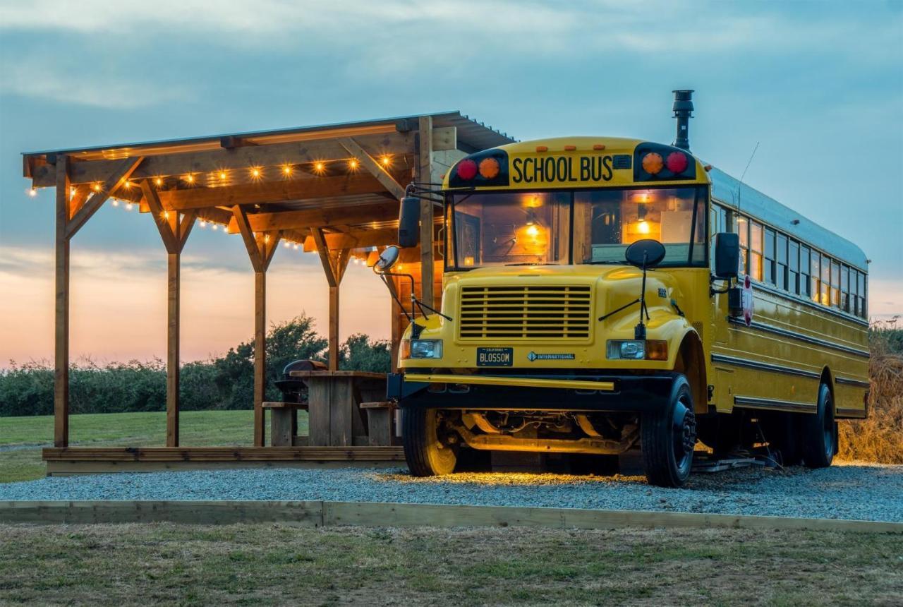 American School Bus - 1 Bedroom - Blossom Farm - Tiers Cross Johnston Extérieur photo